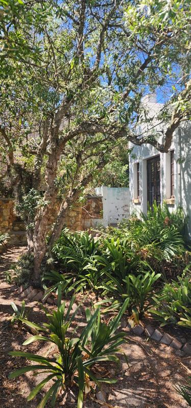 5 Bedroom Property for Sale in Albertinia Western Cape